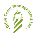 OLIVE CREW MANAGEMENT Ltd