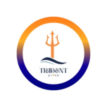 TRIDENT GROUP LLC
