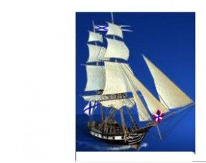 PETER1SHIPPING