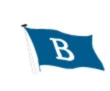 BIMS